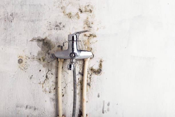 Professional Mold Remediation in Tyrone, OK