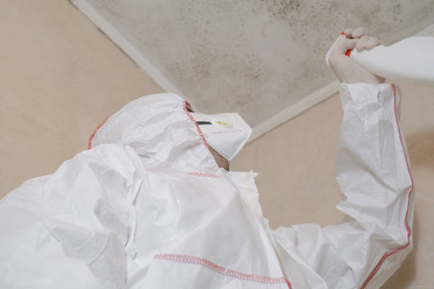 Best Emergency Mold Remediation in Tyrone, OK